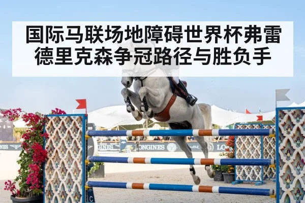 show jumping horse rider