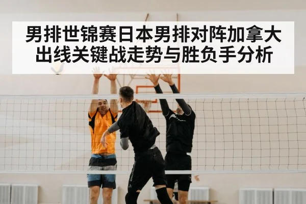 volleyball net block
